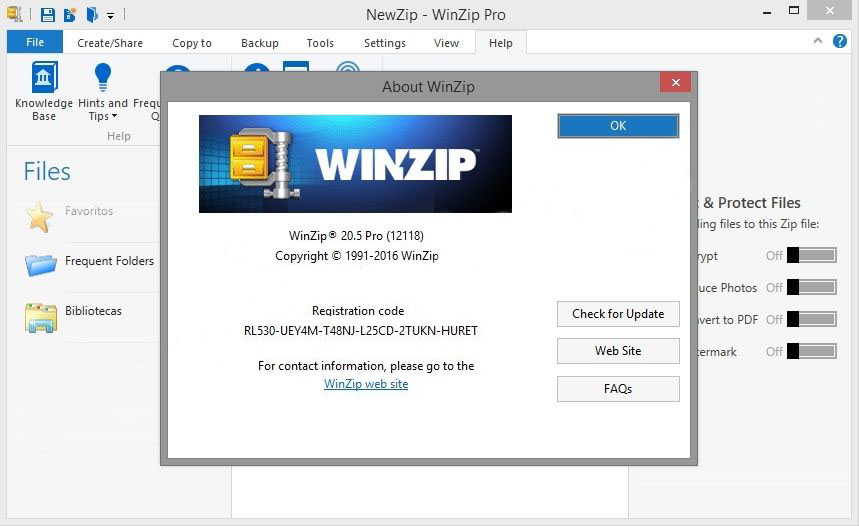 winzip pro 19.0 build 11293